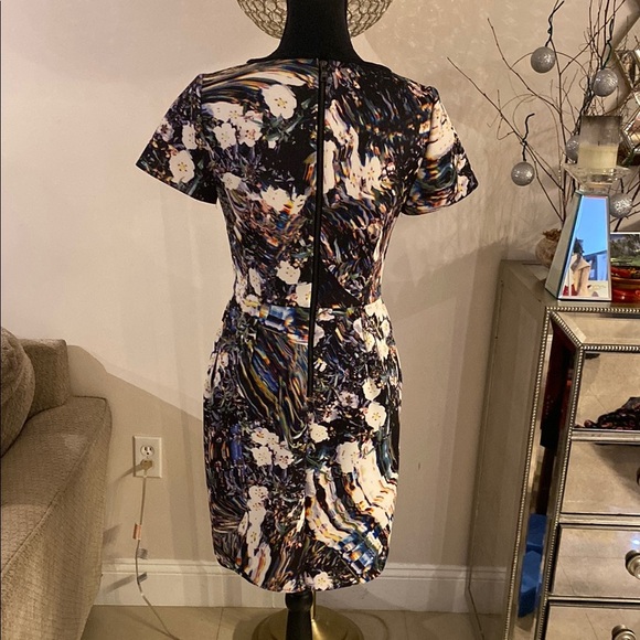 Sachin+Baby Floral Multicolor Women's Dress size 4 - Picture 5 of 6